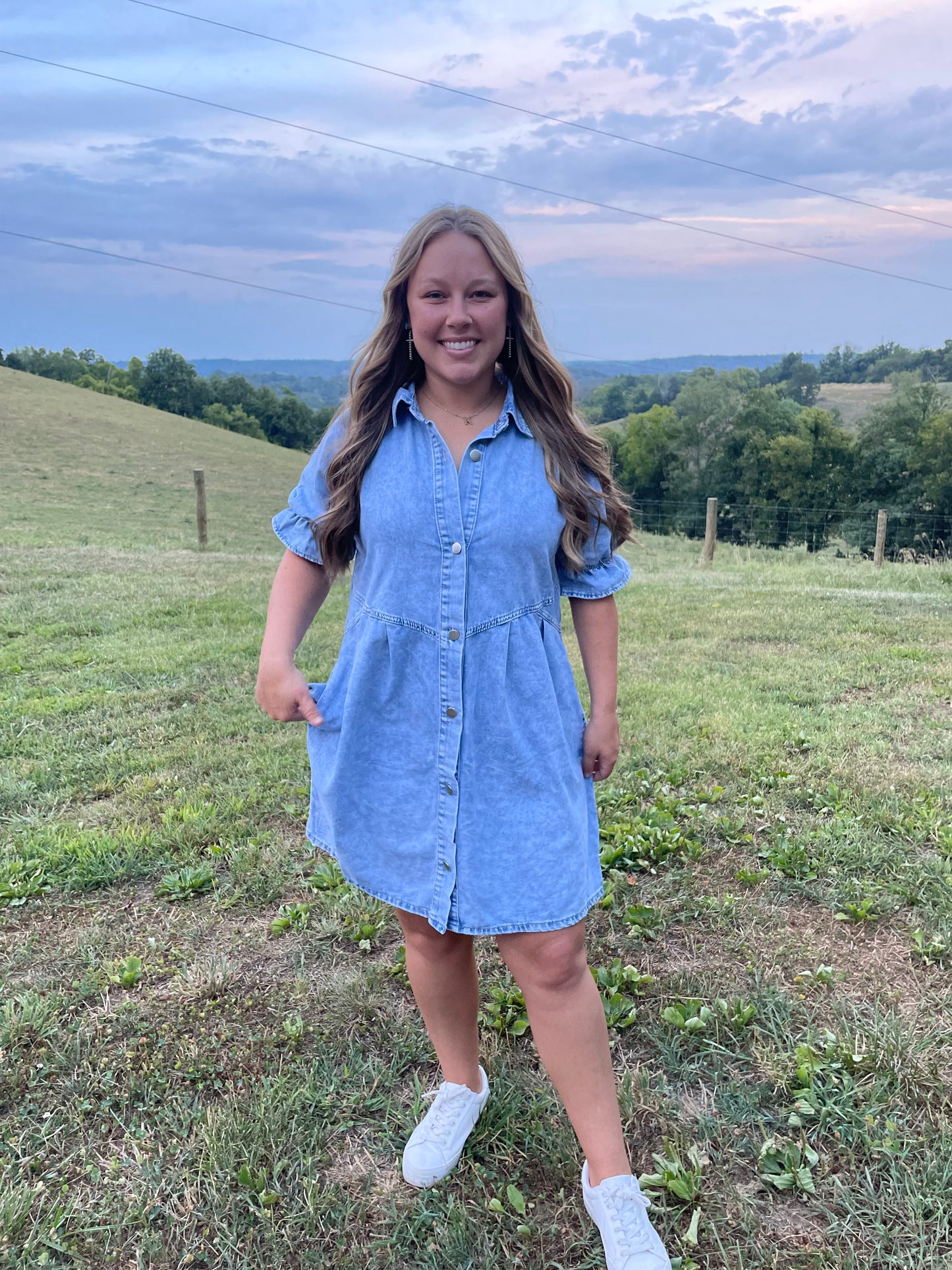 Lately Denim Dress