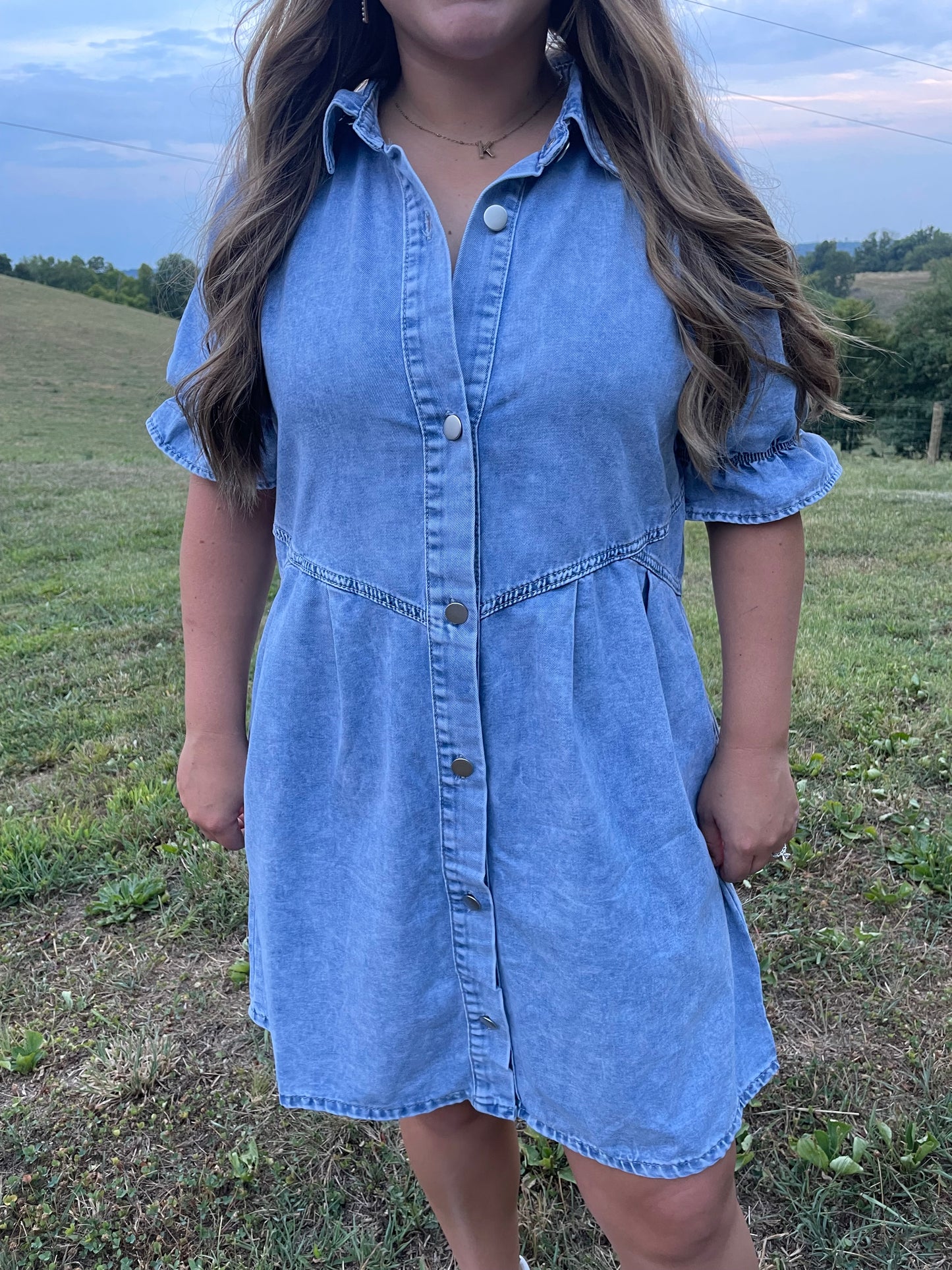 Lately Denim Dress