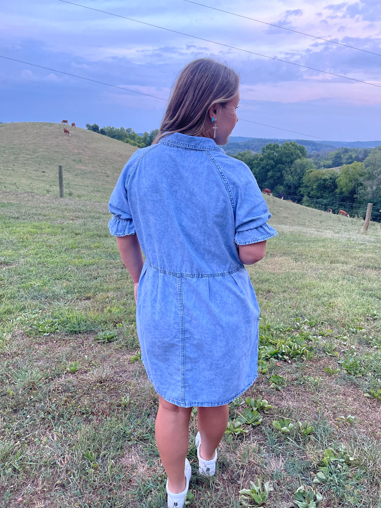 Lately Denim Dress